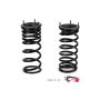 Arnott Industries C-2227 Coil Spring Conversion Kit