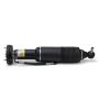 Arnott Industries SK-2418 Remanufactured Suspension Strut