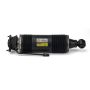Arnott Industries SK-2472 Remanufactured Suspension Strut