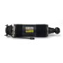 Arnott Industries SK-2473 Remanufactured Suspension Strut