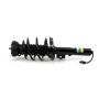 Arnott Industries SK-3393 Coil Strut Assembly