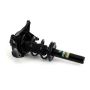 Arnott Industries SK-3843 Coil Strut Assembly