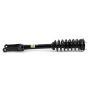 Arnott Industries SK-3978 Coil Strut Assembly