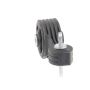 ANCHOR MOUNTS 10151 TORQUE STRUT REAR LOWER