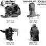 ANCHOR MOUNTS 300219 ENGINE MNT KIT