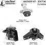 ANCHOR MOUNTS 300796 ENGINE MNT KIT
