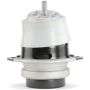 ANCHOR MOUNTS 9923 ENGINE MNT FRONT LEFT,FRONT RIGHT