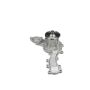 Airtex Water Pumps AW6037 Engine Water Pump