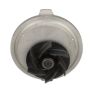 Airtex Water Pumps AW6116 Engine Water Pump