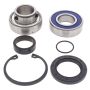 All Balls Racing 14-1003 93-95 Polaris StarLite 250 Drive Shaft Bearing & Seal Kit Lower Shaft - Track