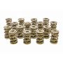 PAC RACING SPRINGS PACPAC-1347-16 1.645 Triple Valve Springs - (16)