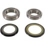 Pivot Works PWSSK-Y11-000 80-85 Yamaha YT1-125 PW Steering Stem Bearing Kit