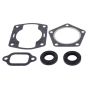 Vertex Pistons 711090 Vertex Gaskets  Ccw kioritz CCW 225 FC/1 Complete Gasket Kit w/ Oil Seals