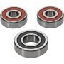 Pivot Works 25-1156-P Suzuki Wheel Bearing Kit Premium Bearings