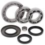 All Balls Racing 25-2023 86-87 Suzuki LT-F230 Differential Bearing & Seal Kit Rear