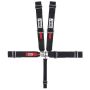 5-Pt Harness Small Latch Black Pull Down LS Only