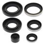 Vertex Pistons 822281 Vertex Gaskets 84-85 Kawasaki KXT250 Tecate Oil Seal Kit