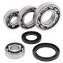 All Balls Racing 25-2017 1985 Kawasaki KLT160 Differential Bearing & Seal Kit Rear