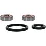 Pivot Works 25-1644-P Honda, Kymco, Suzuki Wheel Bearing Kit Premium Bearings