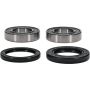 Pivot Works 25-1028-P Honda Wheel Bearing Kit Premium Bearings
