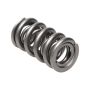 1.550 NexTek Dual Valve Springs