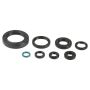 Athena P400210400252 Engine Oil Seal Kits