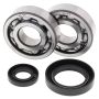 All Balls Racing 24-1030 92-07 Honda CR250R Crank Shaft Bearing Kit