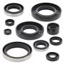 Vertex Pistons 822287 Vertex Gaskets 91-94 Kawasaki KDX250 Oil Seal Kit