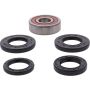 Pivot Works 25-1643-P CF-Moto, Honda Wheel Bearing Kit Premium Bearings