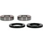Pivot Works 25-1732-P Odes Wheel Bearing Kit Premium Bearings