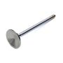 CHEVROLET PERFORMANCE GMP12618110 1.615in Exhaust Valve LS7 Hollow Stem