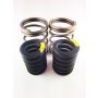 DDP Dodge 94-98 P-7100 Competition Governor Springs (5500 RPM)