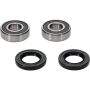 Pivot Works 25-1379-P Pw Premium Wheel Bearing
