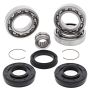 All Balls Racing 25-2046 04-07 Honda TRX400FA Differential Bearing & Seal Kit Front