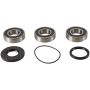 Pivot Works PWRWK-P12-000 05-23 Polaris Phoenix 200 PW Rear Wheel Bearing Kit