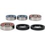 Pivot Works 25-1086-P Yamaha Wheel Bearing Kit Premium Bearings