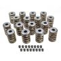 EDELBROCK EDE5895 1.500in Valve Springs - BBC