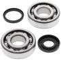 All Balls Racing 24-1107 98-99 Husqvarna CR125 Crank Shaft Bearing Kit