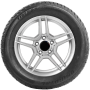 UNIROYAL Tiger Paw GTZ ALL Season 2 255/45R18 All-Season
