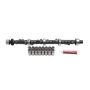 EDELBROCK EDE7177 SBM Cam & Lifter Kit