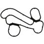 MAHLE B32240 Engine Oil Cooler Gasket