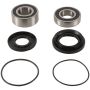 Pivot Works PWRWK-S24-020 02-14 Suzuki LT-F250 Ozark PW Rear Wheel Bearing Kit