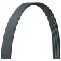 Dayco 5061090DR V-Ribbed Belt