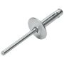 ALLSTAR PERFORMANCE ALL18060 Lg Hd Rivet 250Pk Silver Flange Type Alum Mandrel