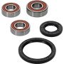 Pivot Works 25-1064-P Yamaha Wheel Bearing Kit Premium Bearings