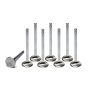 FERREA FERF6309-8 SBC C/6 1.500 Exhaust Valves