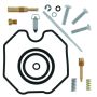 QuadBoss 418028 06-07 Arctic Cat 250 2x4 (02) Carburetor Kit
