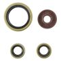Vertex Pistons 822374 Vertex Gaskets 21-23 Gas-Gas EX450F Oil Seal Kit