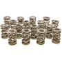 PAC RACING SPRINGS PACPAC-1226-16 1.550 Dual Valve Springs - (16)