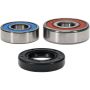 Pivot Works 25-1200-P Yamaha Wheel Bearing Kit Premium Bearings